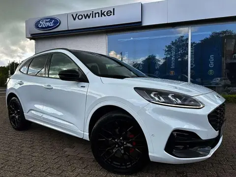 Used FORD KUGA Petrol 2023 Ad 