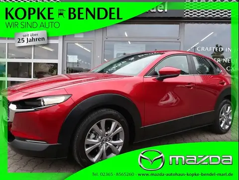 Annonce MAZDA CX-30 Hybride 2021 d'occasion 