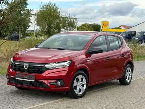 Annonce DACIA SANDERO Essence 2021 d'occasion 