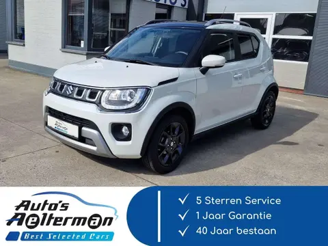 Used SUZUKI IGNIS Hybrid 2022 Ad 