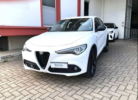 Annonce ALFA ROMEO STELVIO Diesel 2021 d'occasion 