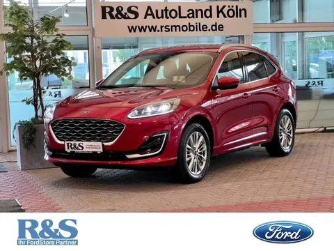 Used FORD KUGA Hybrid 2023 Ad 