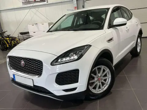 Used JAGUAR E-PACE Diesel 2018 Ad 