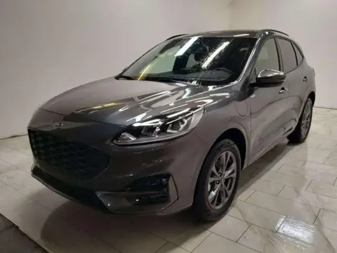 Used FORD KUGA Hybrid 2022 Ad 