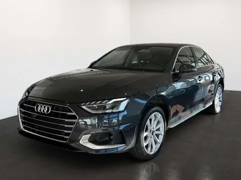 Annonce AUDI A4 Hybride 2024 d'occasion 