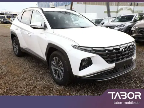 Used HYUNDAI TUCSON Petrol 2024 Ad 