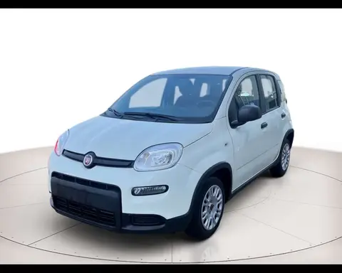 Annonce FIAT PANDA Essence 2024 d'occasion 