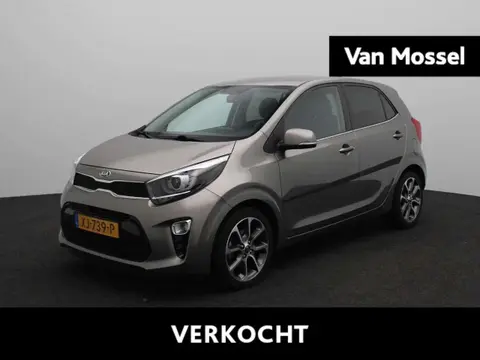 Annonce KIA PICANTO Essence 2019 d'occasion 