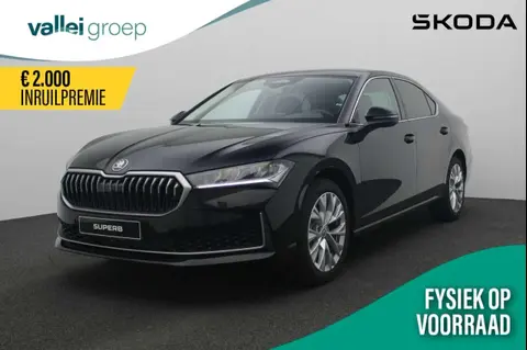 Used SKODA SUPERB Petrol 2024 Ad 