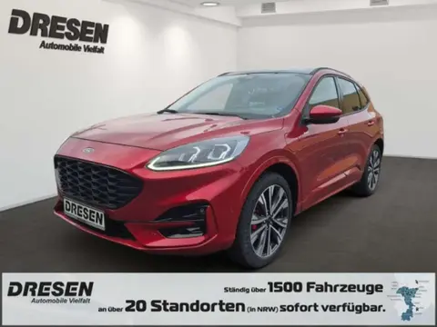 Annonce FORD KUGA Hybride 2023 d'occasion 