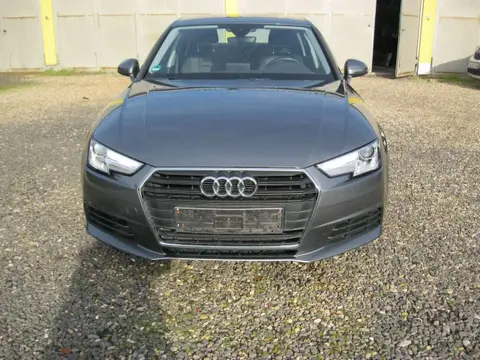 Used AUDI A4 Diesel 2019 Ad 