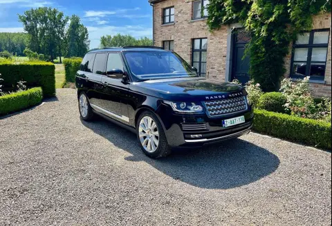 Used LAND ROVER RANGE ROVER Diesel 2017 Ad 