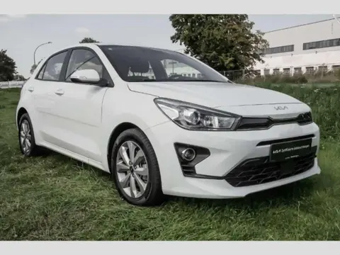 Used KIA RIO Petrol 2022 Ad 