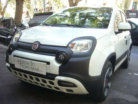 Used FIAT PANDA Hybrid 2023 Ad 