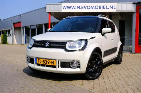 Used SUZUKI IGNIS Petrol 2018 Ad 