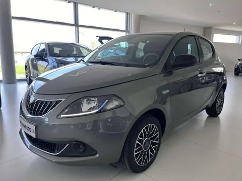 Used LANCIA YPSILON Hybrid 2024 Ad 