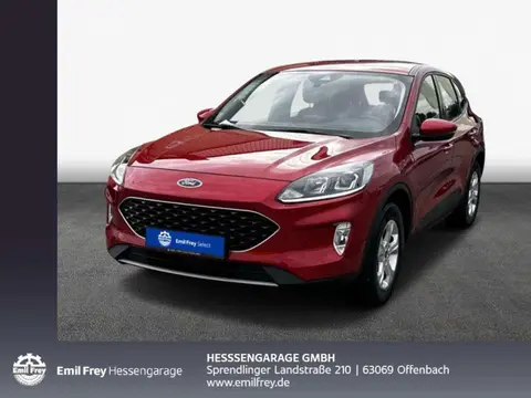 Annonce FORD KUGA Hybride 2022 d'occasion 