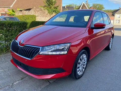 Used SKODA FABIA Petrol 2019 Ad 