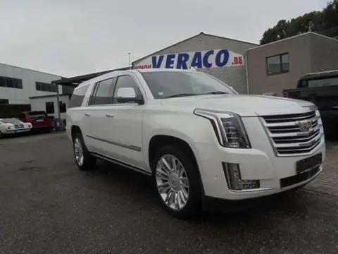 Used CADILLAC ESCALADE LPG 2020 Ad 