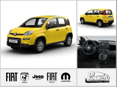 Annonce FIAT PANDA Essence 2024 d'occasion 