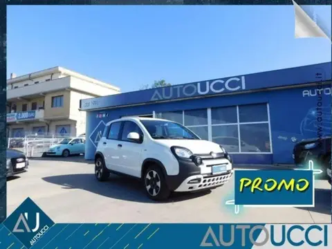 Used FIAT PANDA Hybrid 2023 Ad 