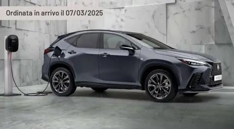 Used LEXUS NX Hybrid 2024 Ad 