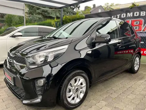 Annonce KIA PICANTO Essence 2019 d'occasion 