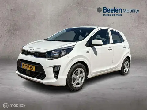 Used KIA PICANTO Petrol 2022 Ad 