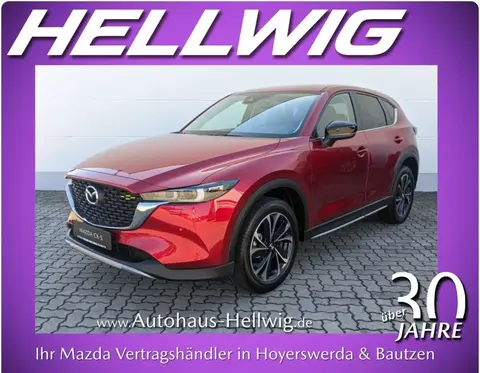 Used MAZDA CX-5 Petrol 2024 Ad 