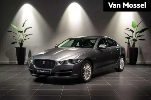 Annonce JAGUAR XE Diesel 2018 d'occasion 