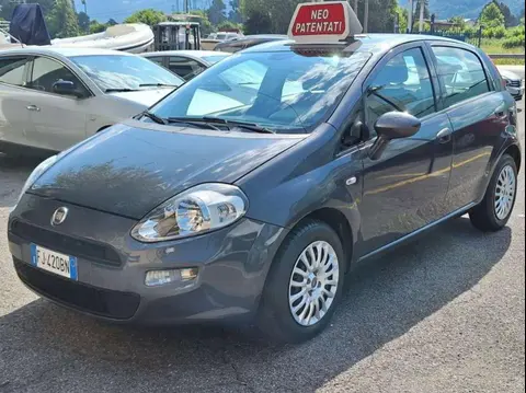 Used FIAT PUNTO Petrol 2017 Ad 