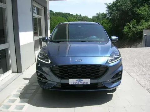 Used FORD KUGA Hybrid 2023 Ad 