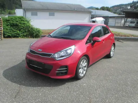 Used KIA RIO Petrol 2016 Ad 