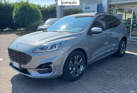 Annonce FORD KUGA Hybride 2022 d'occasion 