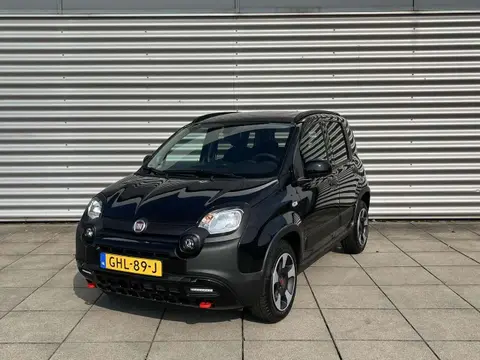 Used FIAT PANDA Hybrid 2024 Ad 