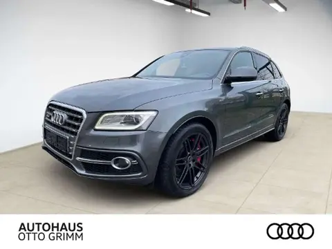 Annonce AUDI SQ5 Diesel 2016 d'occasion 