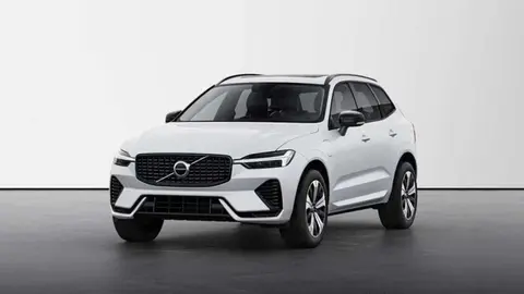 Annonce VOLVO XC60 Hybride 2024 d'occasion 