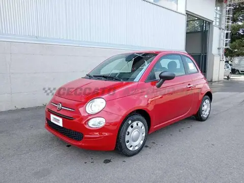 Used FIAT 500 Hybrid 2024 Ad 