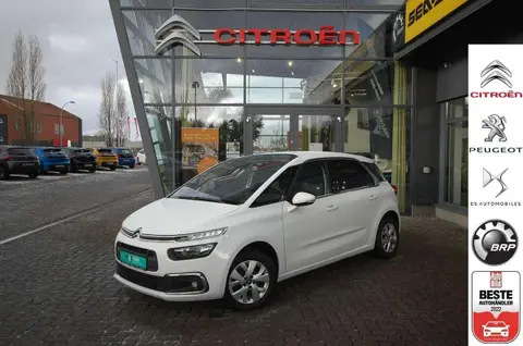 Annonce CITROEN C4 Diesel 2019 d'occasion 