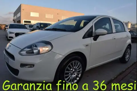 Annonce FIAT PUNTO Essence 2017 d'occasion 