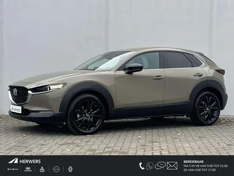 Annonce MAZDA CX-30 Essence 2024 d'occasion 