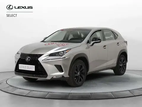 Used LEXUS NX Hybrid 2019 Ad 