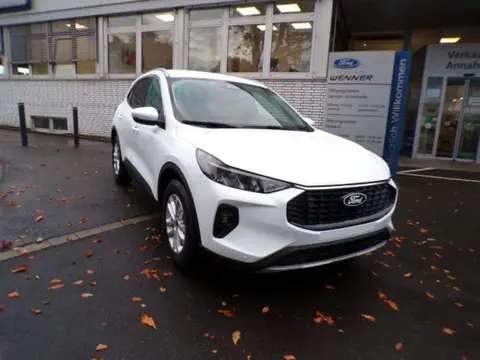 Used FORD KUGA Petrol 2024 Ad 