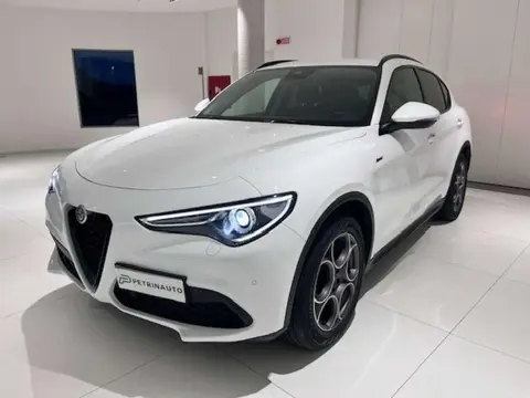 Annonce ALFA ROMEO STELVIO Diesel 2021 d'occasion 