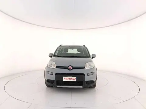 Used FIAT PANDA Hybrid 2022 Ad 