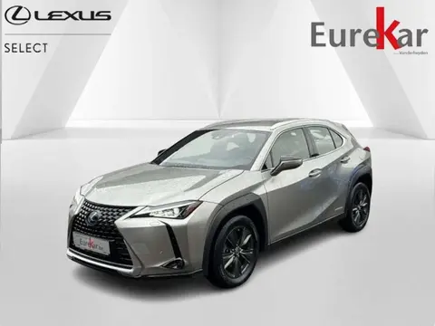 Used LEXUS UX Hybrid 2021 Ad 