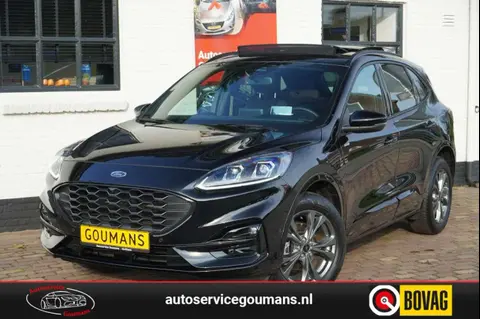 Annonce FORD KUGA Hybride 2022 d'occasion 