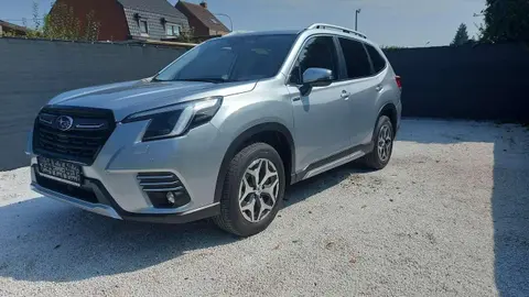 Used SUBARU FORESTER Petrol 2024 Ad 