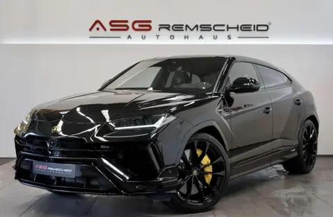 Annonce LAMBORGHINI URUS Essence 2024 d'occasion 