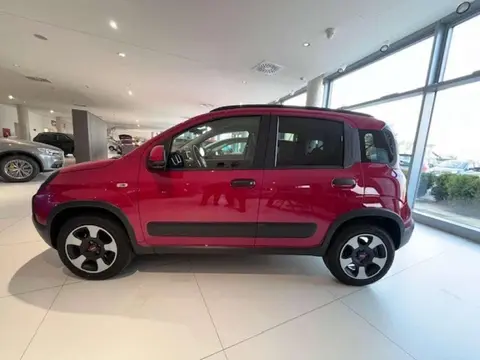 Used FIAT PANDA Hybrid 2024 Ad 